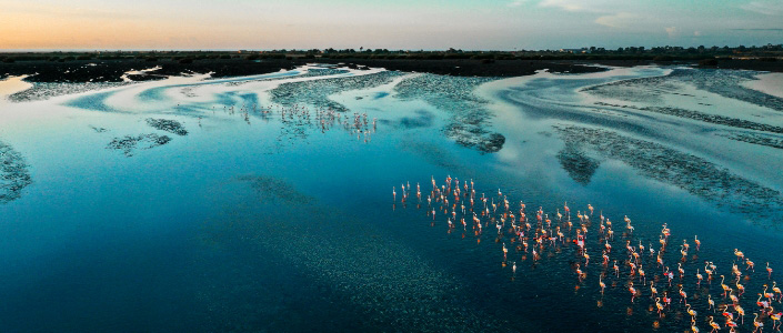 Aon’s 2022 ESG Impact Report